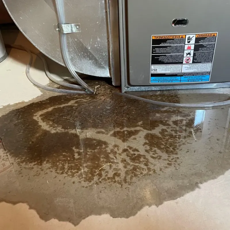 Pipe Burst and Leak Restoration in Whitehouse, OH