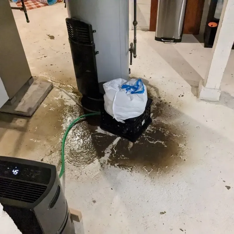Sewage Backup Cleanup Service in Whitehouse, OH